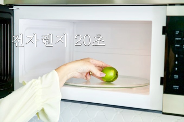 라임·레몬즙 짜는법, 레몬즙 짜는 기계, 요리, 연어, 샐러드, 레모네이드, 팁줌 매일꿀정보