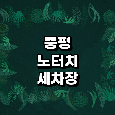 증평군 노터치 세차