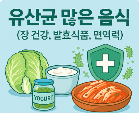 유산균 많은 음식 (장 건강, 발효식품, 면역력)