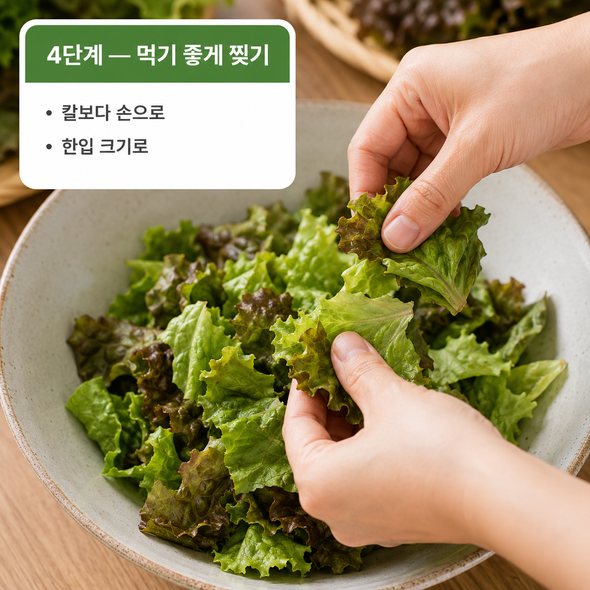 상추 겉절이 만드는법