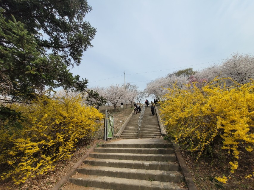 미사경정공원 당정뜰 진입 계단