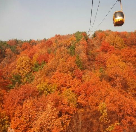 2025 가을 경상도 단풍 명소 산행 추천 ❘ 주왕산&middot;가야산&middot;팔공산 절정 시기