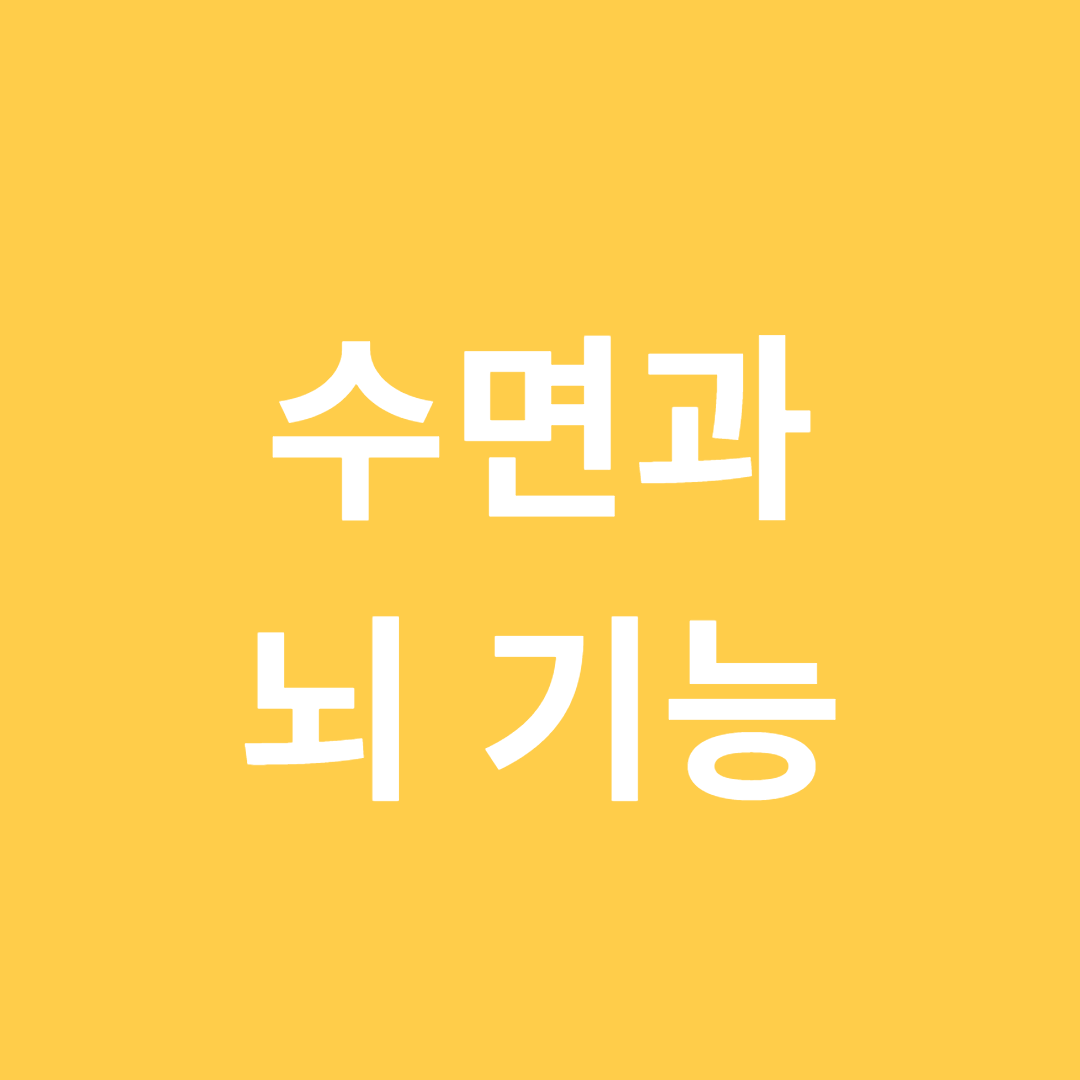 수면이 뇌 기능에 미치는 영향