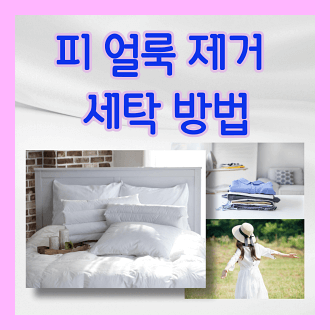 피 얼룩 제거 세탁 방법