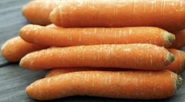 흙당근 보관방법