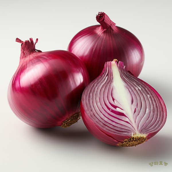 양파 효능│ 양파의 효능 알고 드세요!