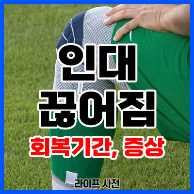 인대 끊어짐