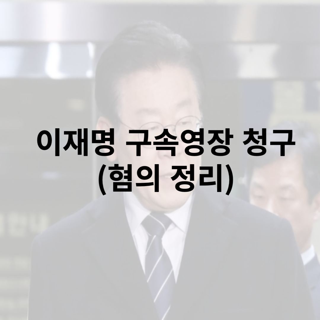 이재명 구속영장