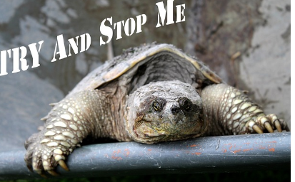 공부 동기 부여를 위한 추가 팁과 도구