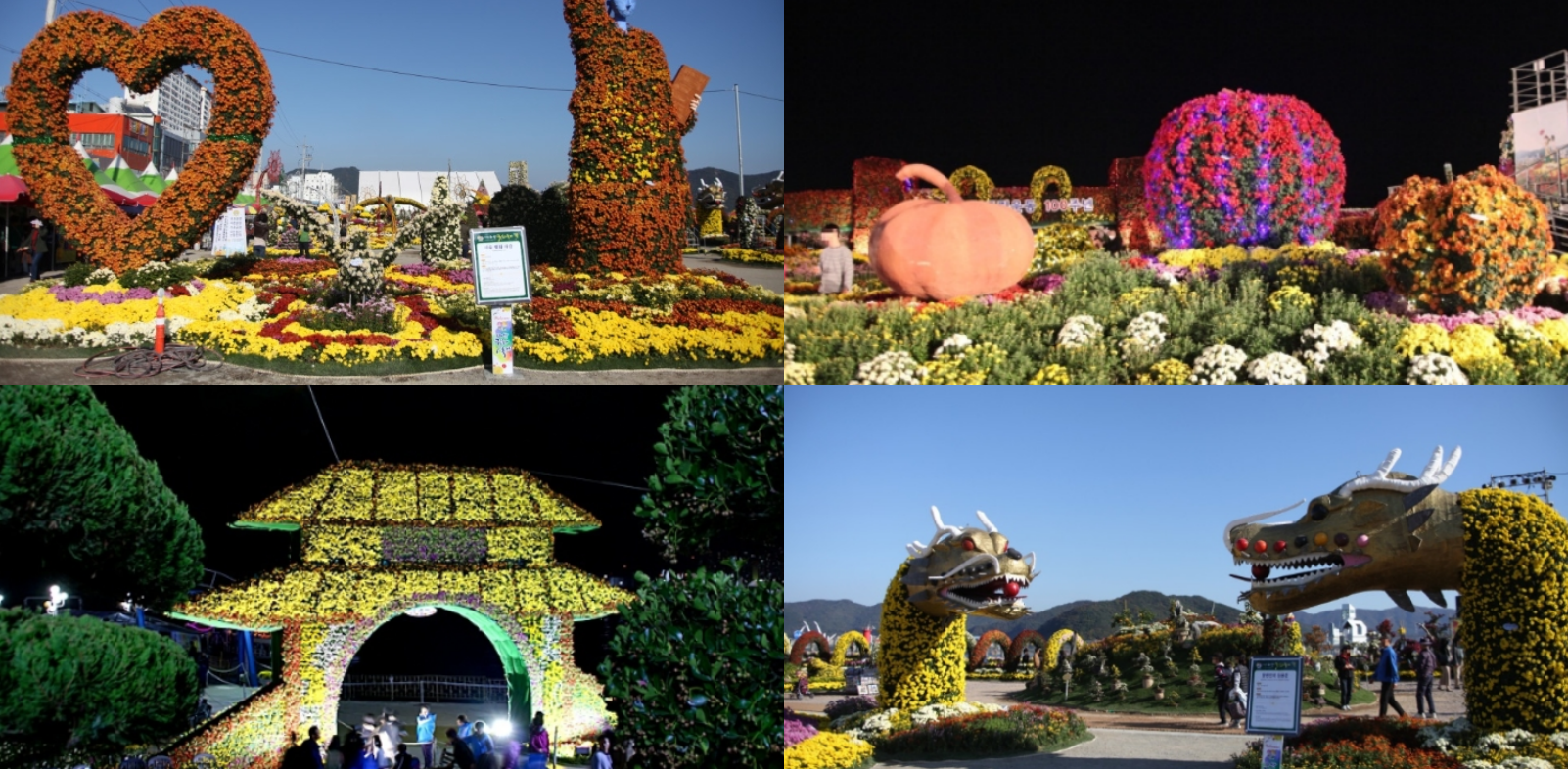 마산 국화축제 일정