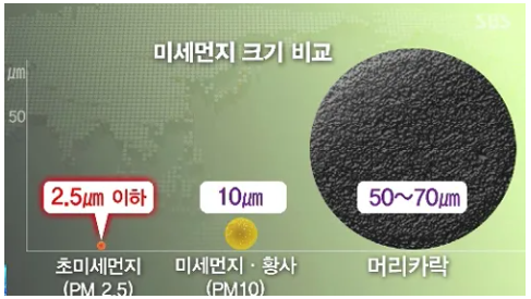 미세먼지 크기 비교