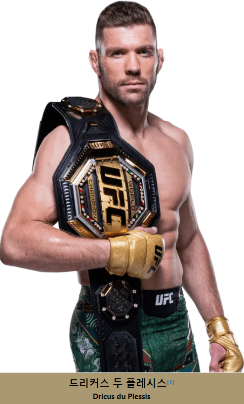 UFC 체급별 챔피언