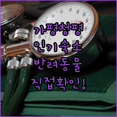 직접 확인한 가평 청평 인기 숙소 5..