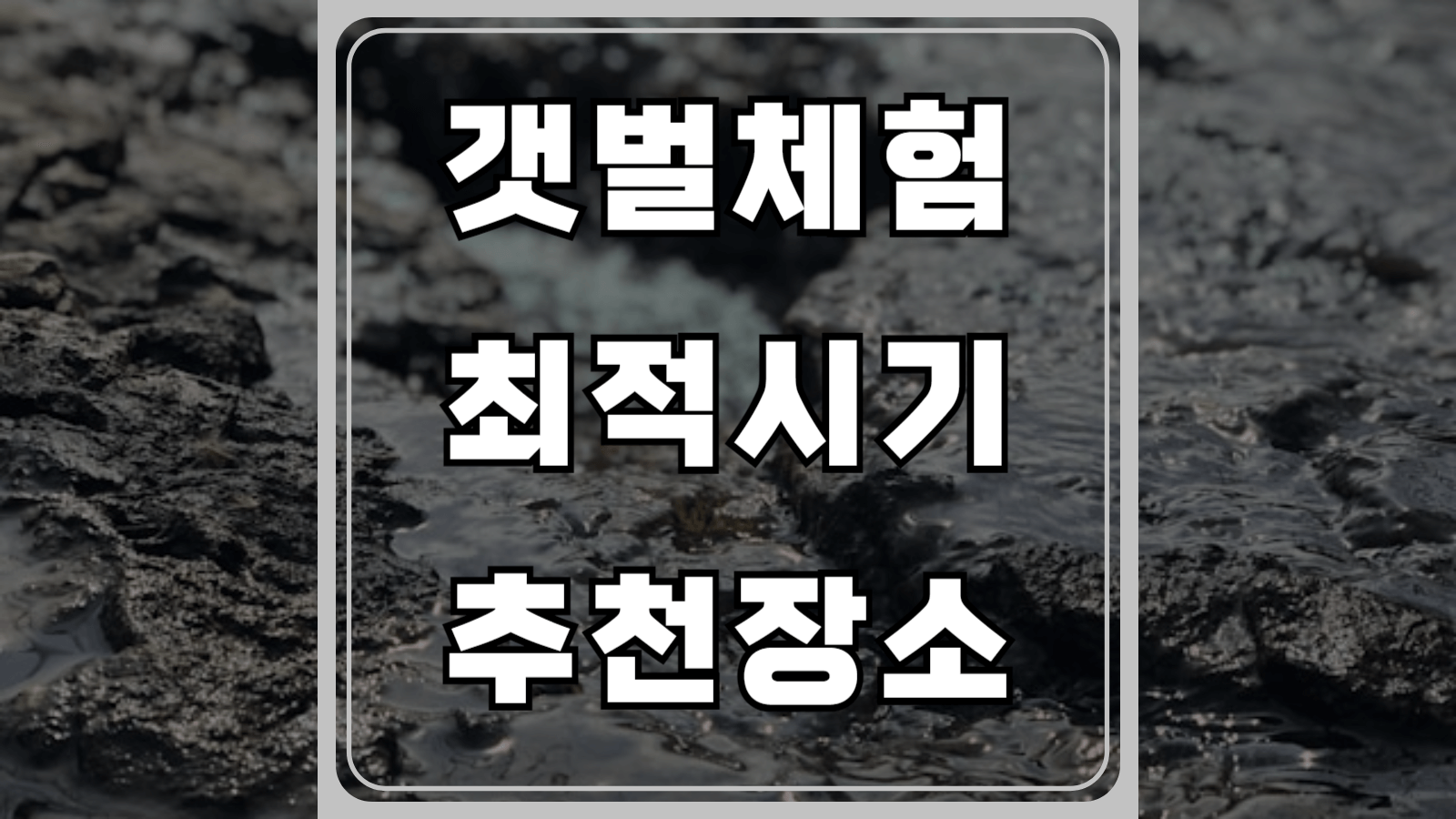 갯벌체험 최적시기 추천장소