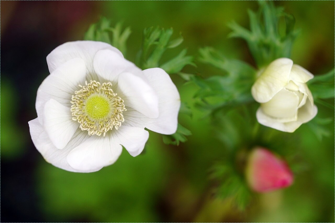 우체국 정기예금 금리