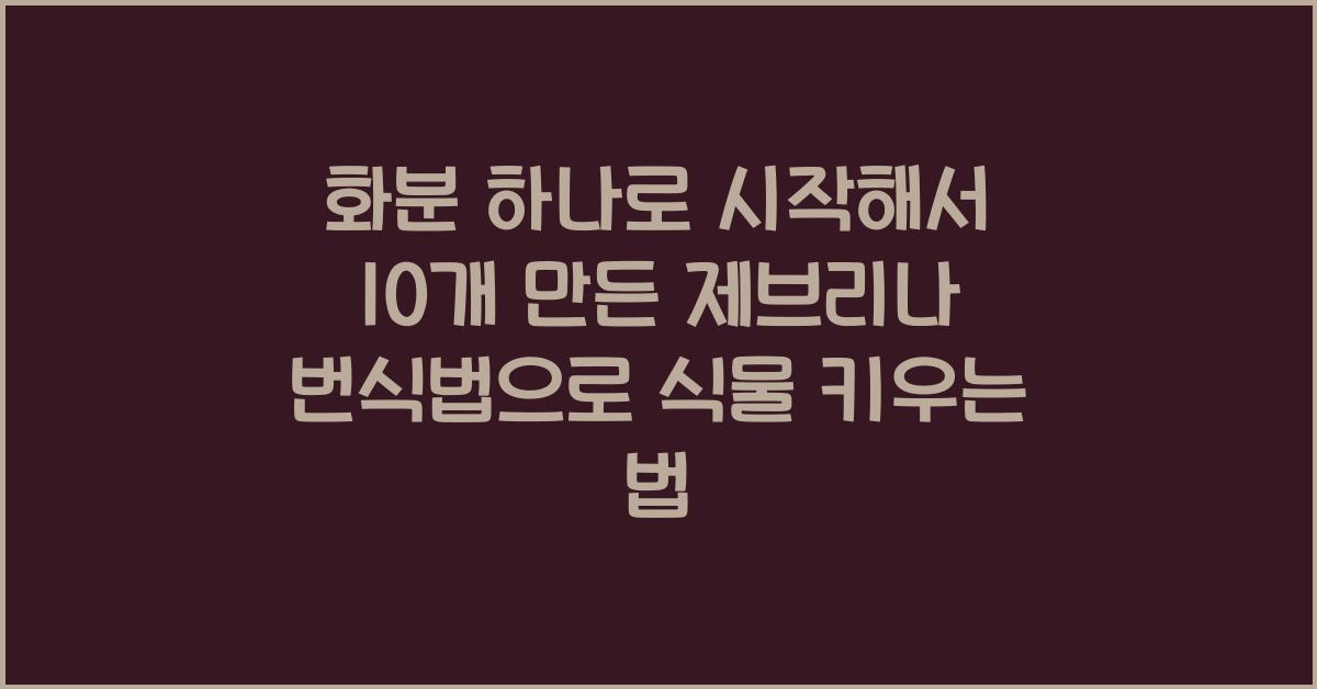 화분 하나로 시작해서 10개 만든 제브리나 번식법
