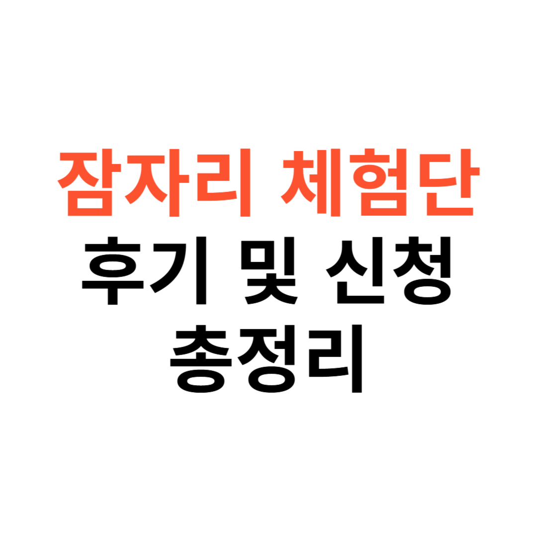 잠자리체험단 후기