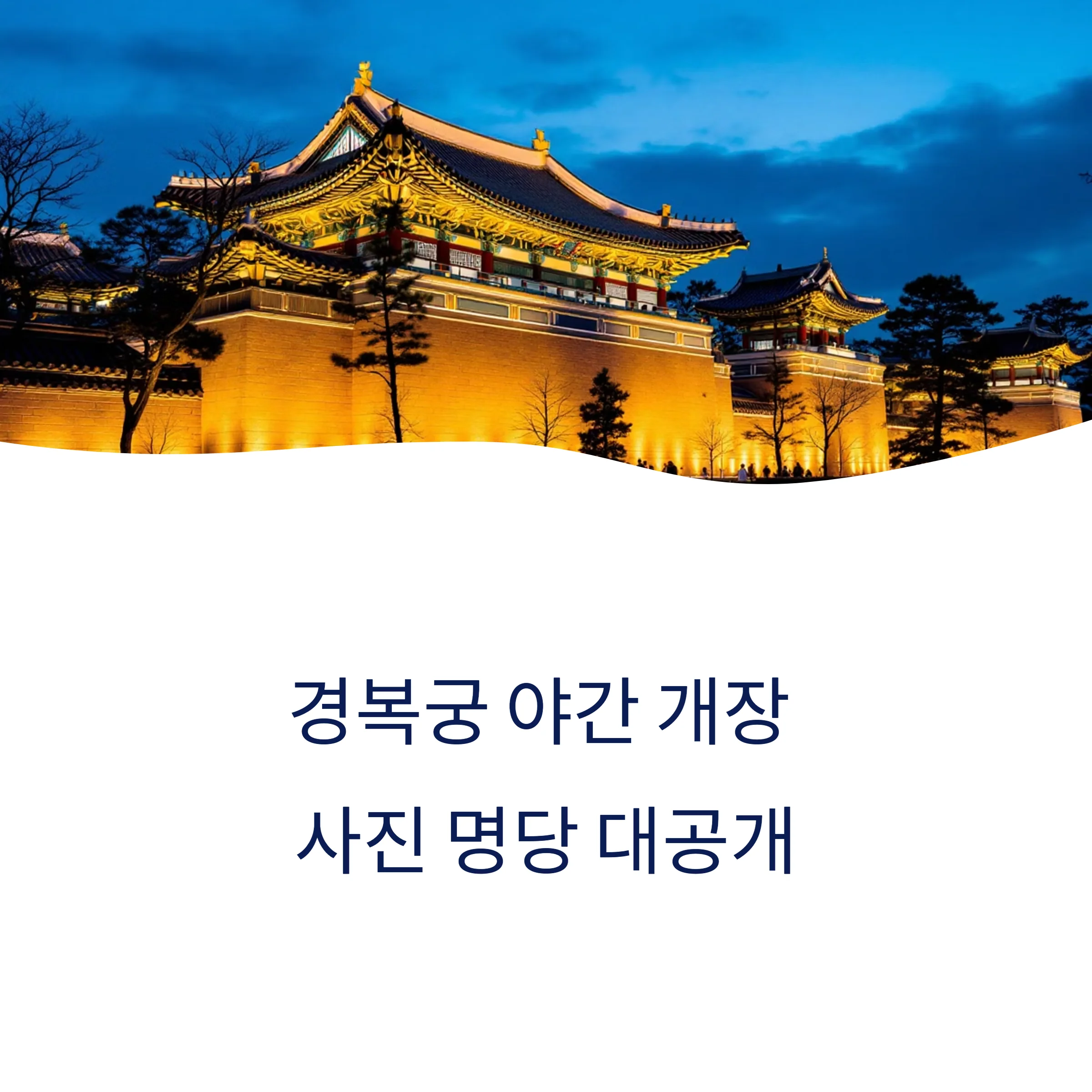 경복궁 야간개장 사진 명당
