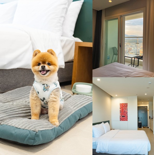 펫프렌들리 호텔