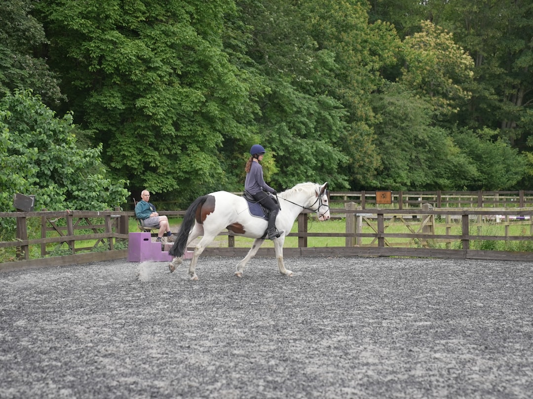 Trot