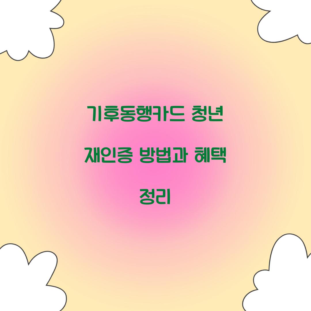 기후동행카드 청년 재인증