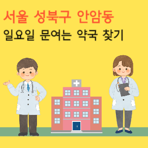 서울 성북구 안암동 일요일 문여는 약국