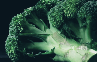 한국산 브로콜리