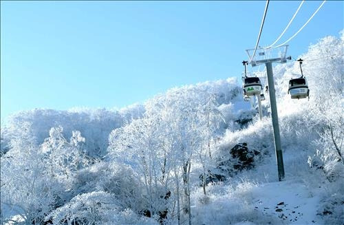 덕유산 곤도라 예약