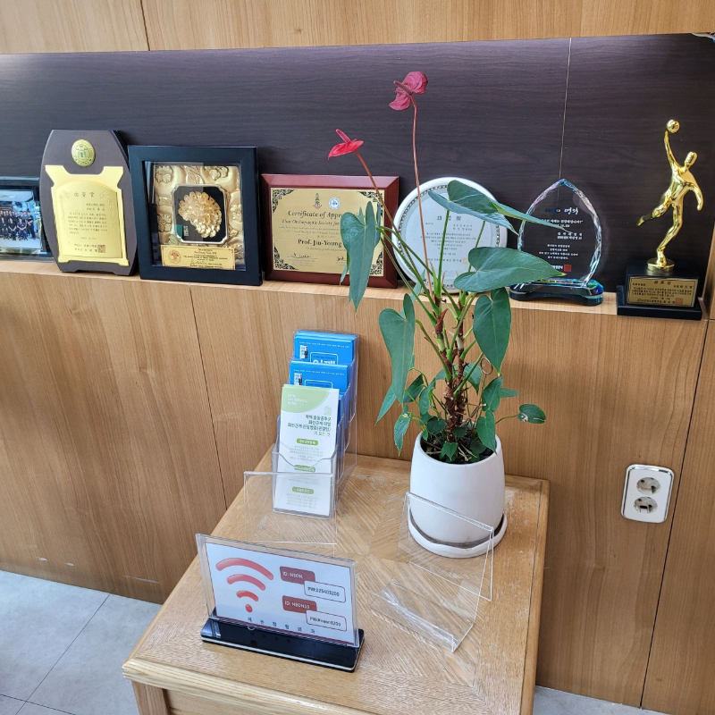 강남구 논현2동 정형외과 유명하고 잘하는 곳 추천 TOP 5