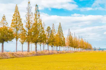 김제 가볼만한곳 베스트10 현지인 추천 필수코스_4