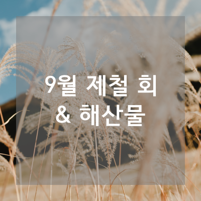 9월제철회