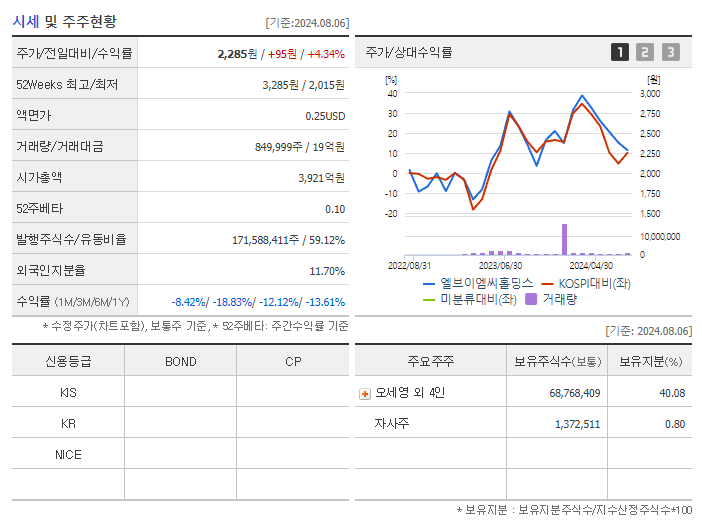 엘브이엠씨홀딩스_기업개요