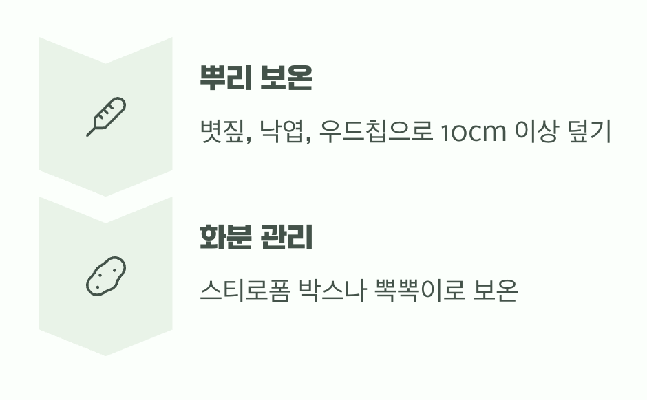 추운 겨울을 이겨내는 법