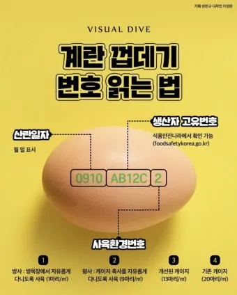 계란에 적힌 번호가 정확히 뭘까 계란 난각번호 4번 제대로 알고 먹고 있나요_21