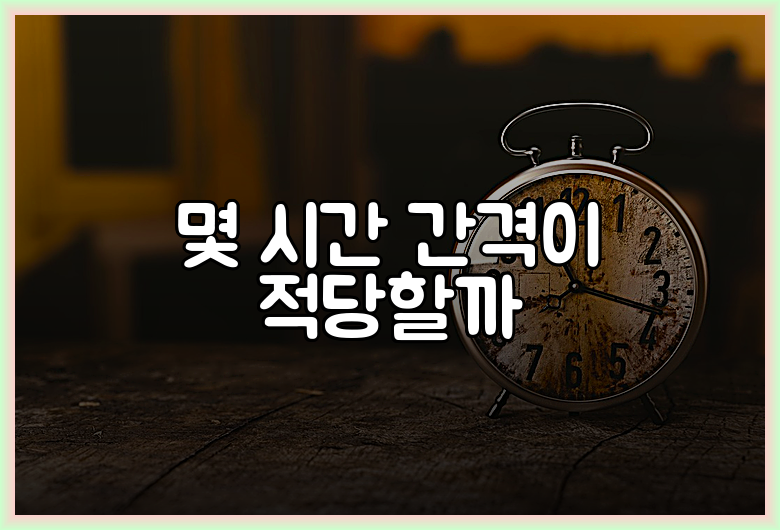 몇 시간 간격이 적당할까