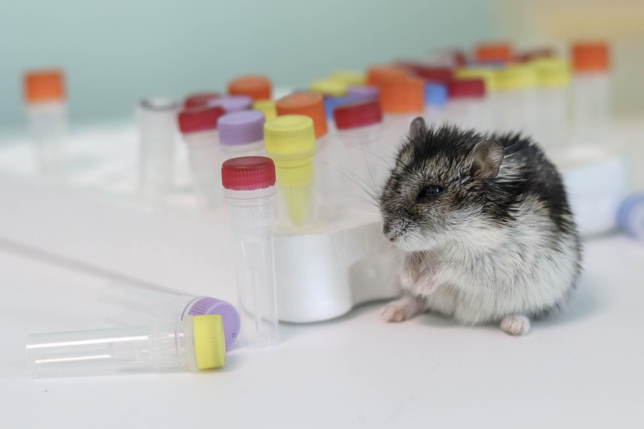 국가장학금 2차신청기간