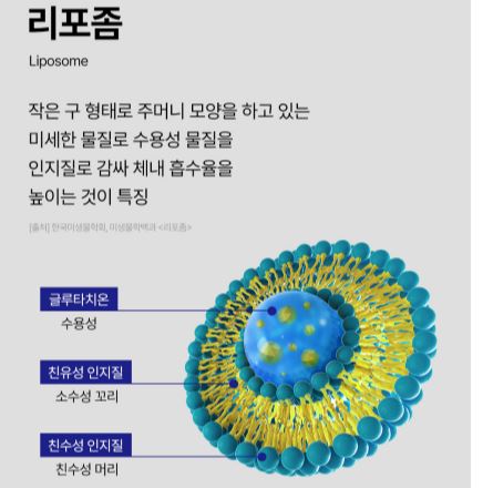 리포좀-글루타치온-효능