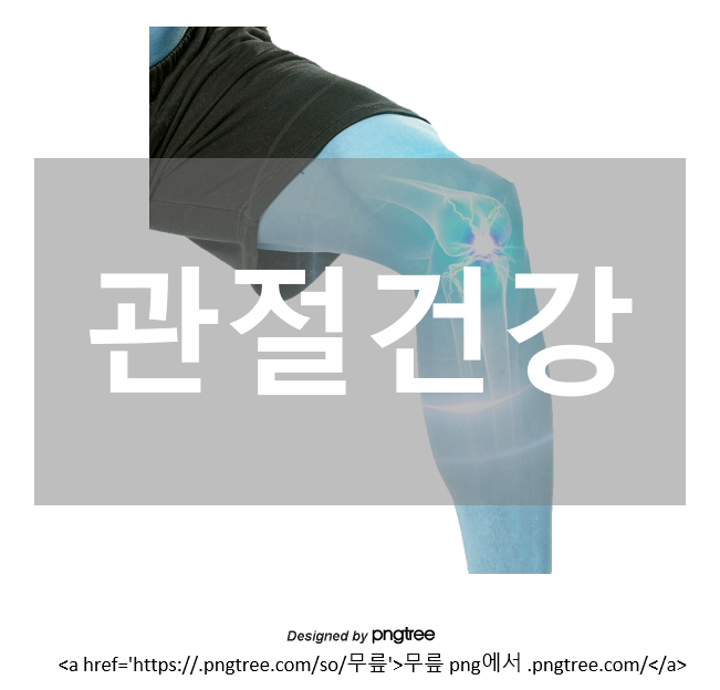 관절건강
