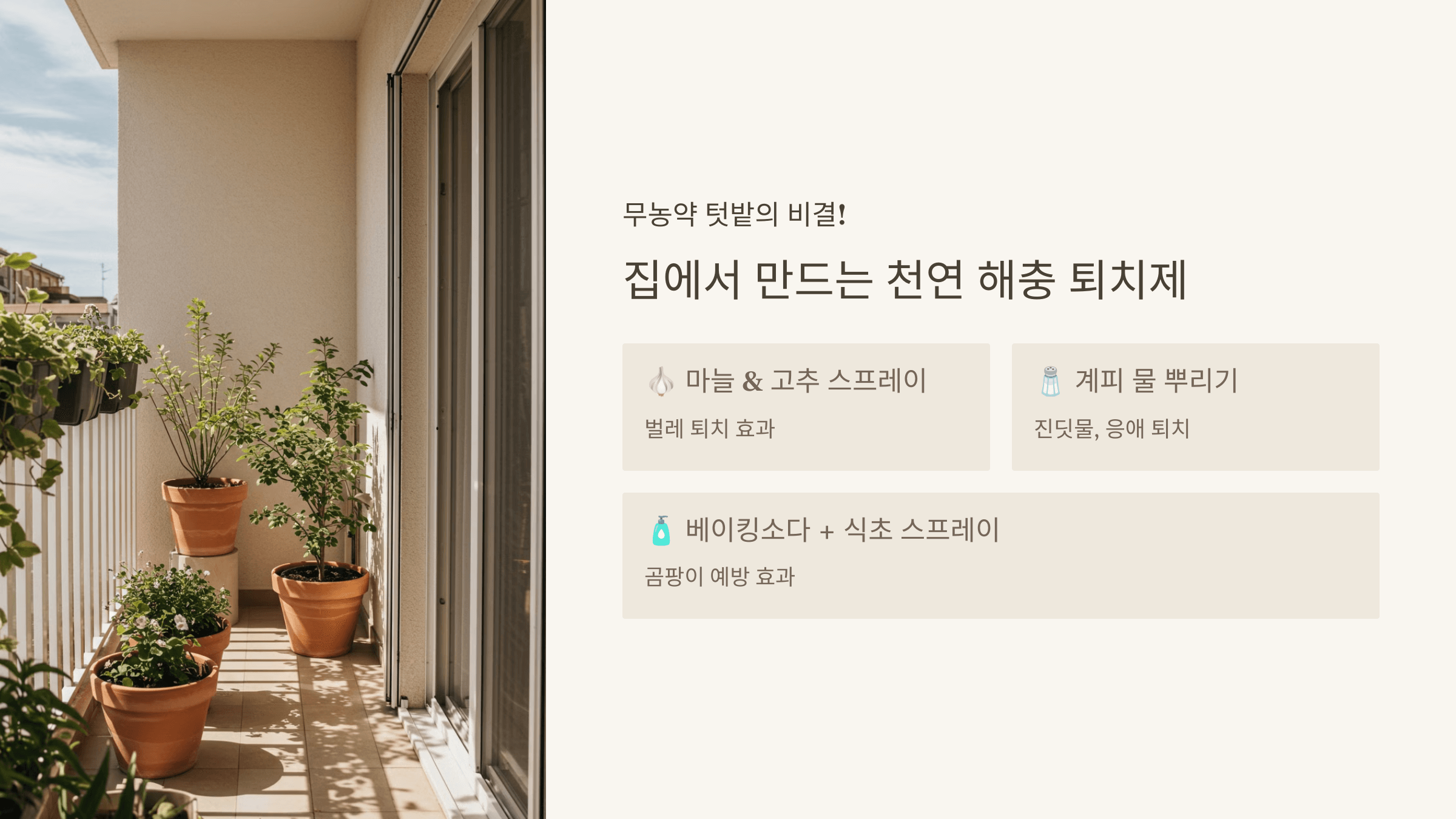 해충 방지 용품! 천연 퇴치제 활용