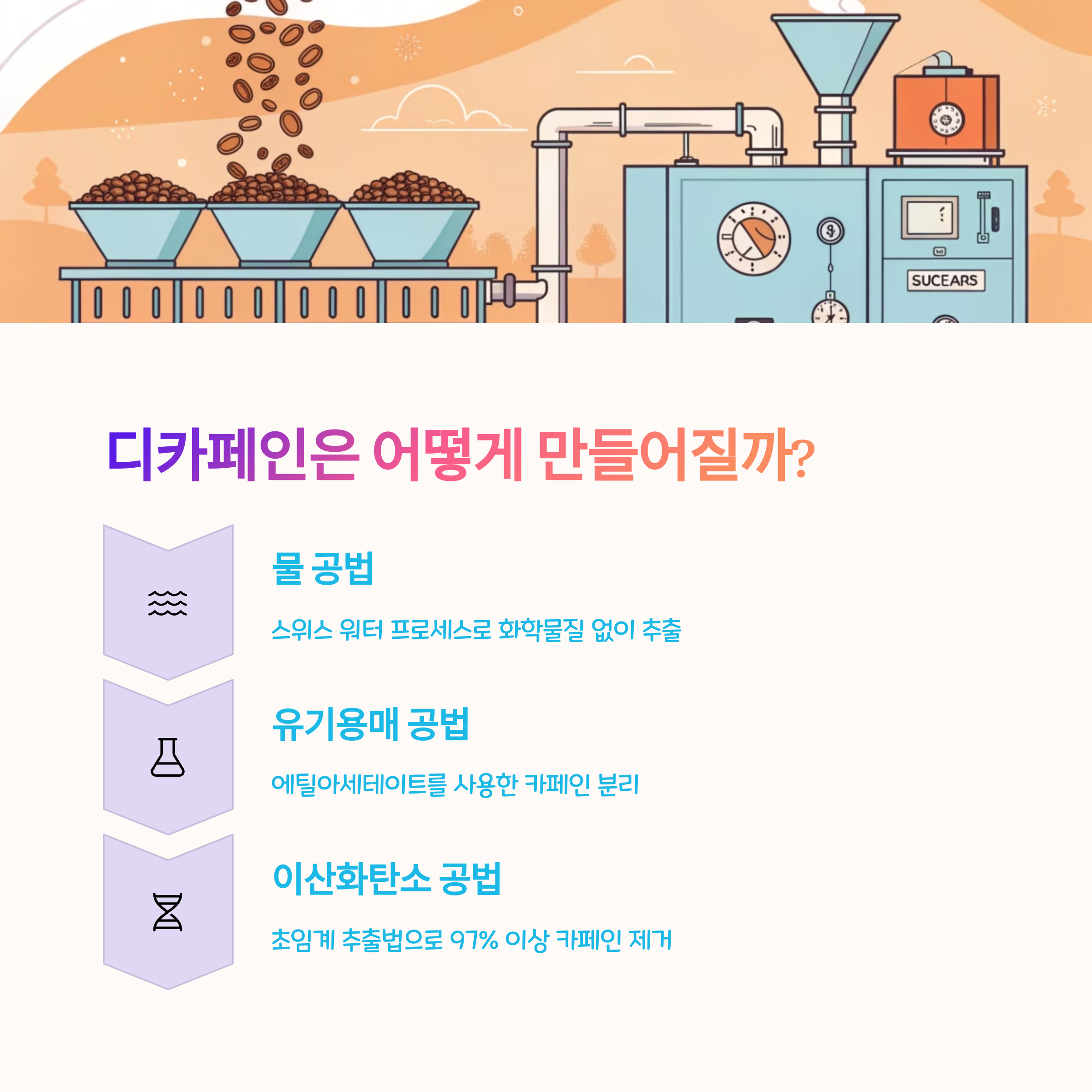 🔬 디카페인 커피 제조 방식