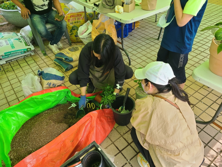 2024 전라남도 정원 페스티벌 기본일정과 프로그램 소개 양지은 딘딘 브브걸 슬리피 키디비 황가람 노디시카 하나영 김영남 출연