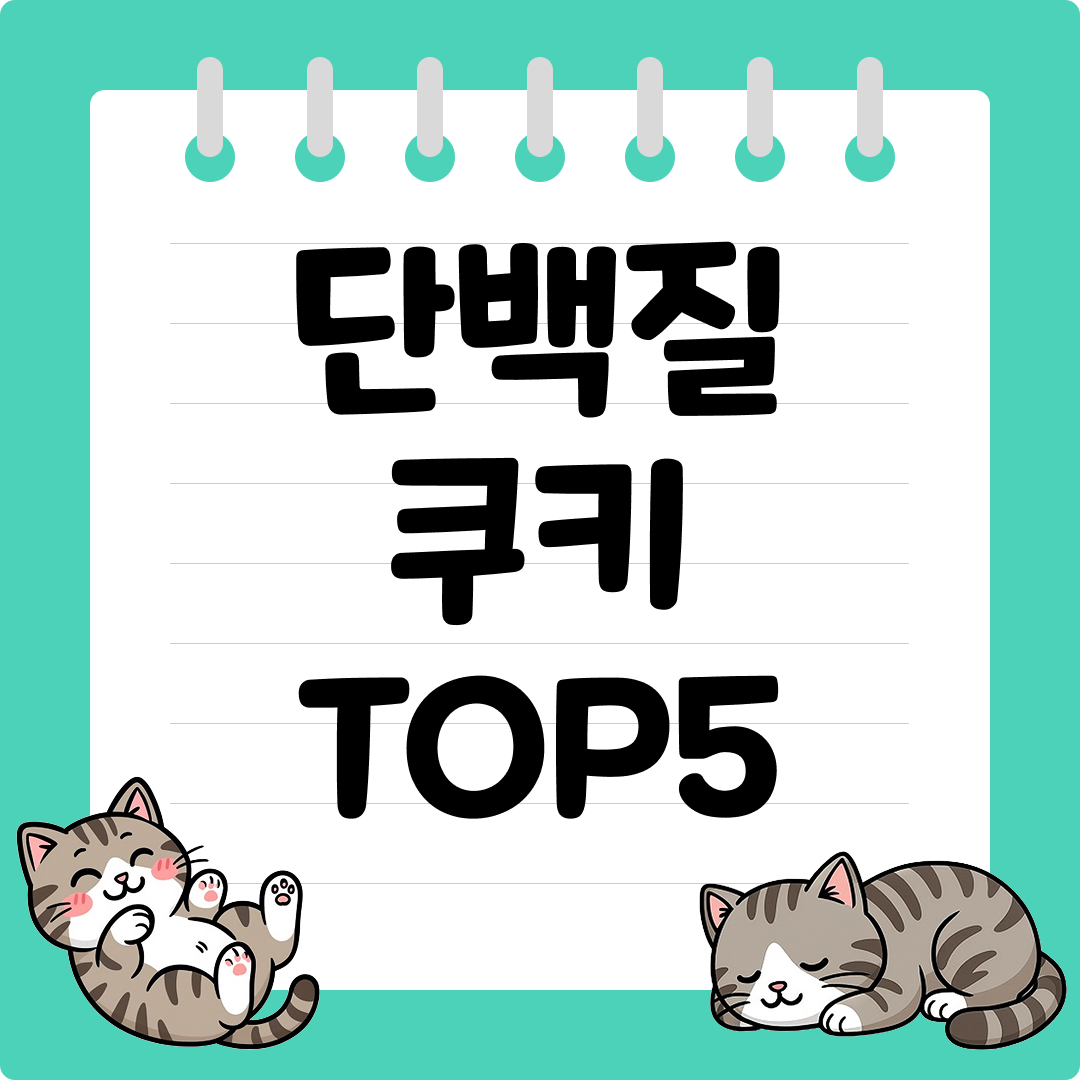 식단 관리 중에도 죄책감 없이 즐기는 달콤한 단백질 쿠키 추천 순위 TOP5