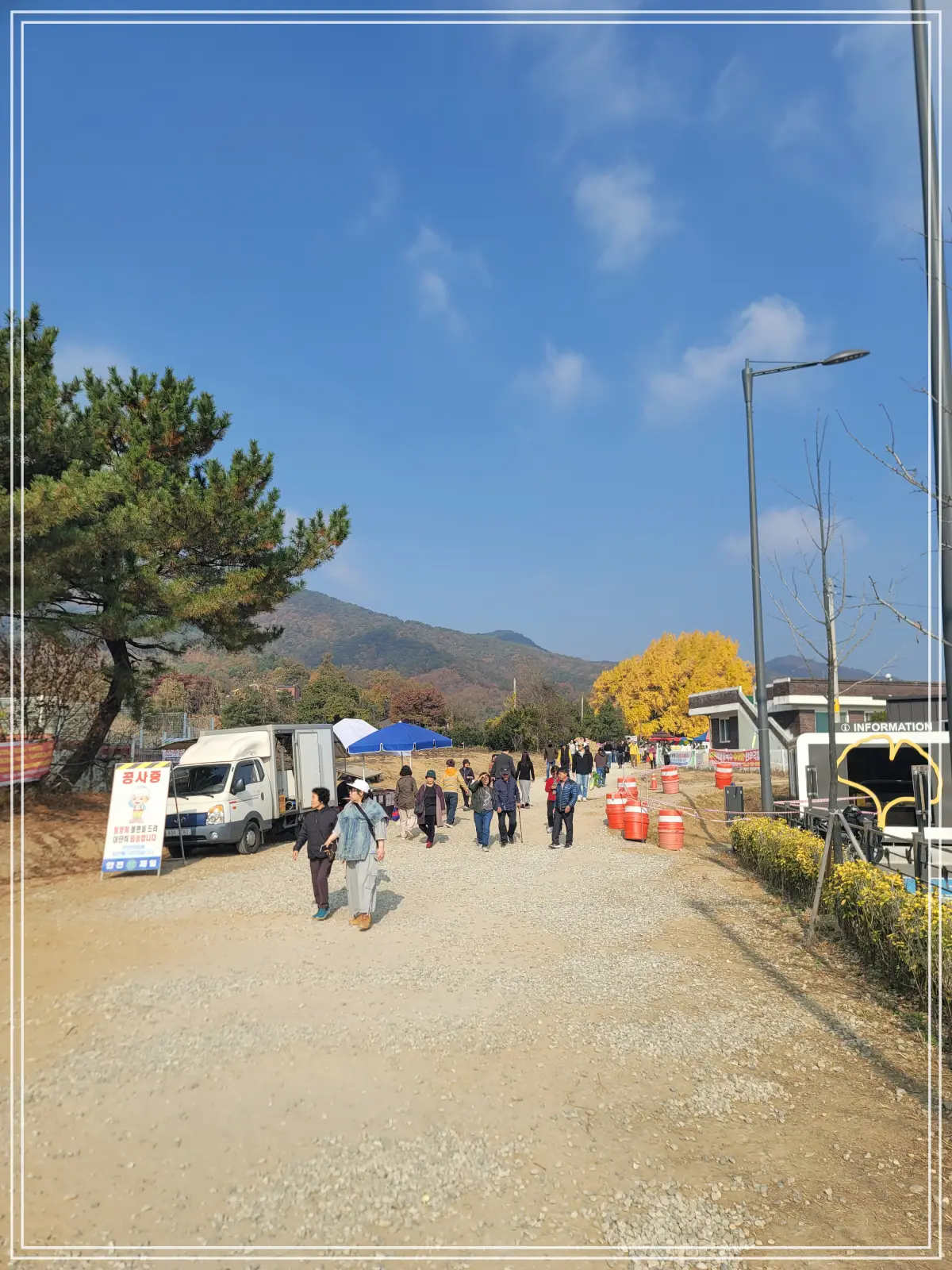 반계리-은행나무-진입도로