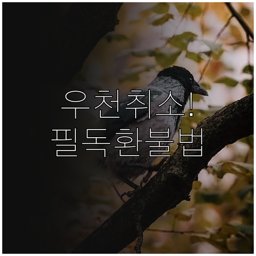 2026 KBO 우천 취소 시점과 결..