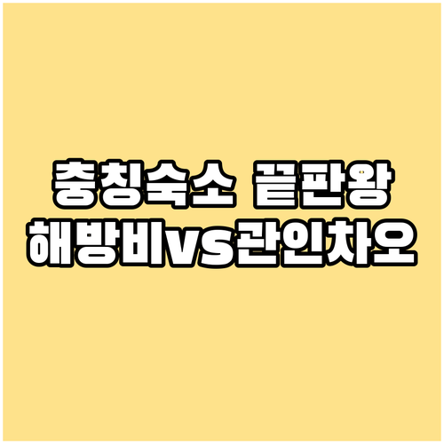 충칭 자유여행 숙소 결정판 관인차오 ..