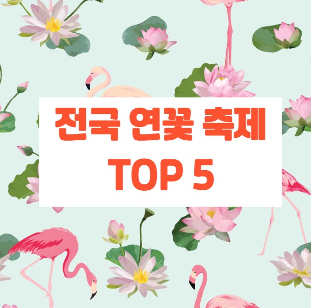 전국 연꽃 축제