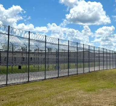 조지아주 현대차-LG엔솔 한국인 구금사태: 현황, 이유, 대응 및 향후 전망