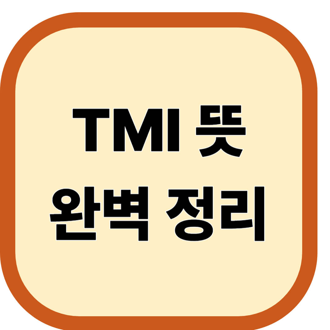 TMI 뜻 완벽 정리