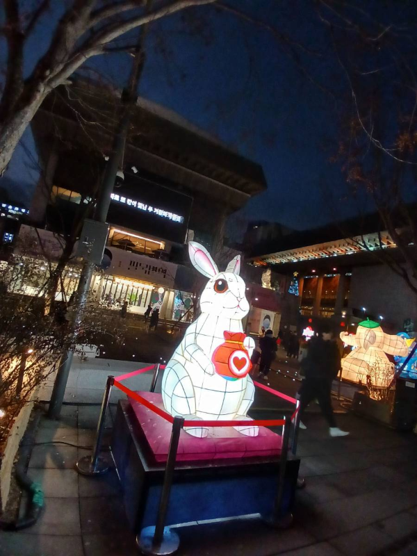 빛초롱 복들고 있는 토끼