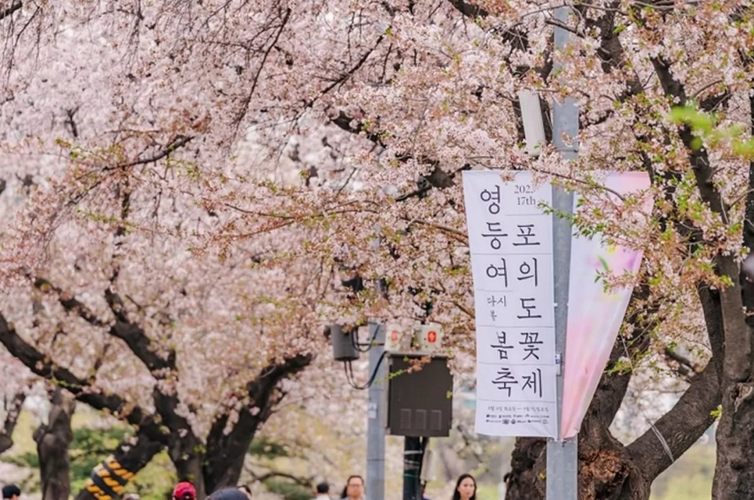 여의도 벚꽃축제 일정&middot;기간